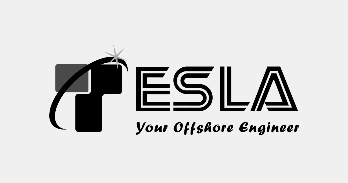 (c) Teslaoutsourcingservices.com